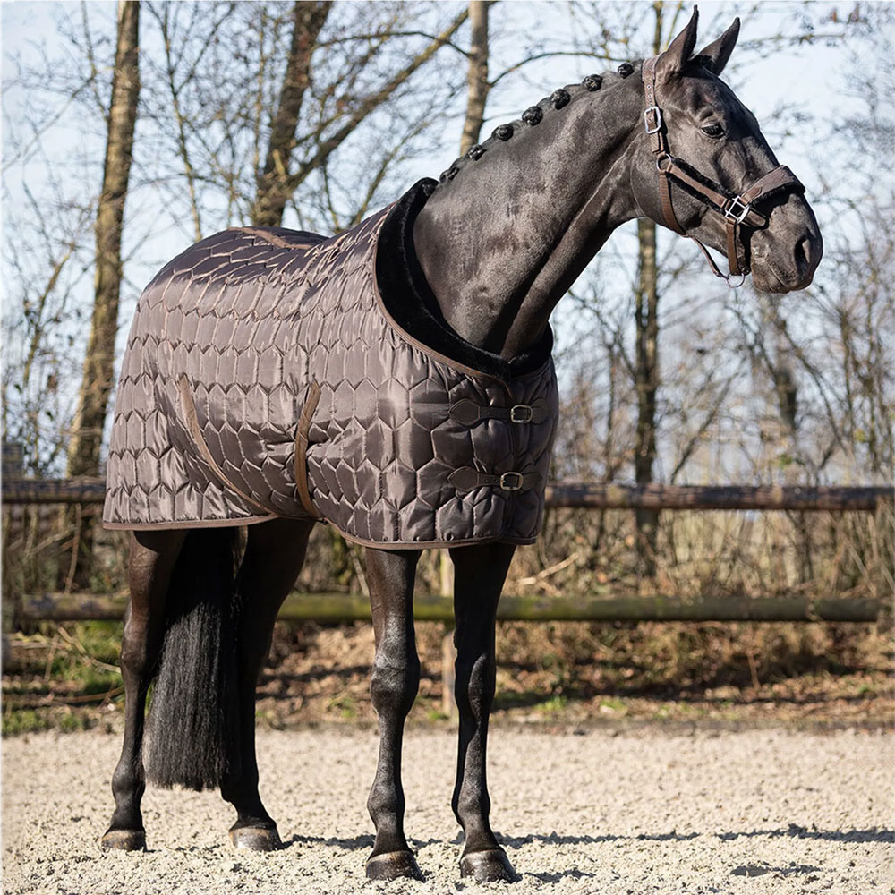 ODM rugs design and development