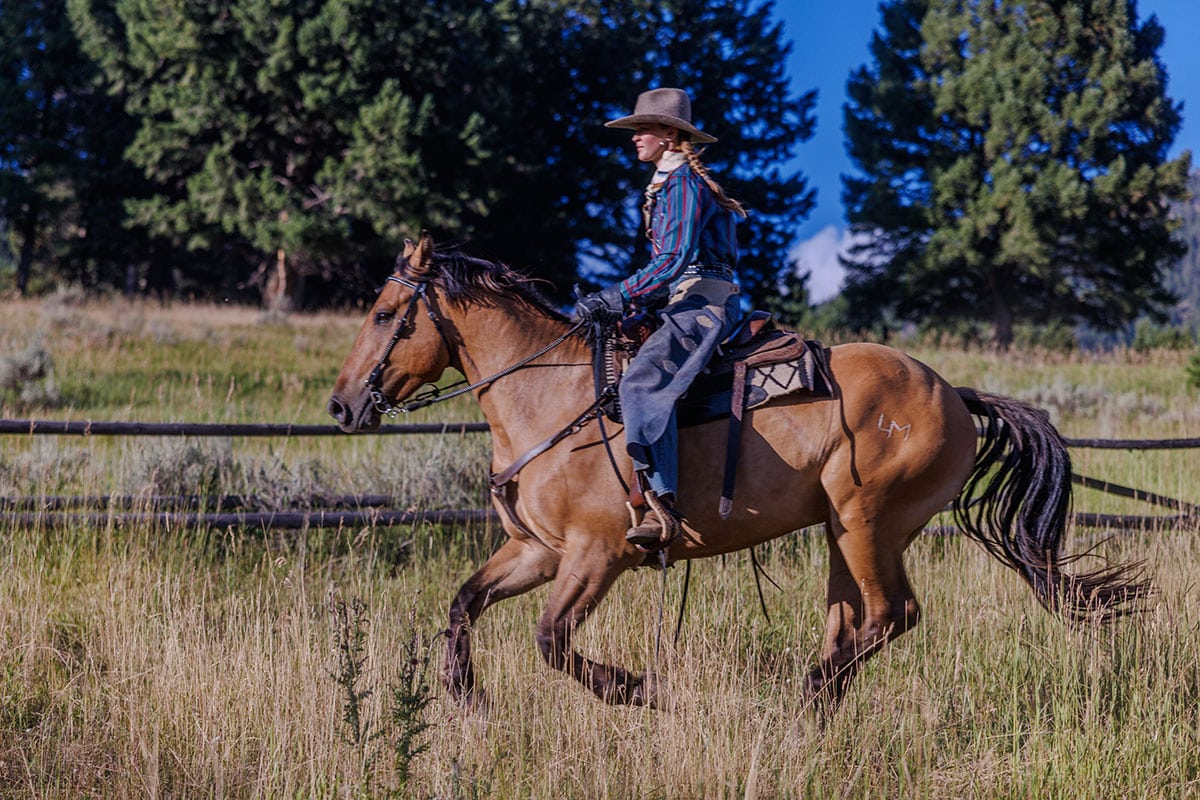 Stallion Horse Bits team developing a new product sample