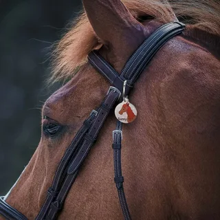Close-up of a stainless steel horse bit