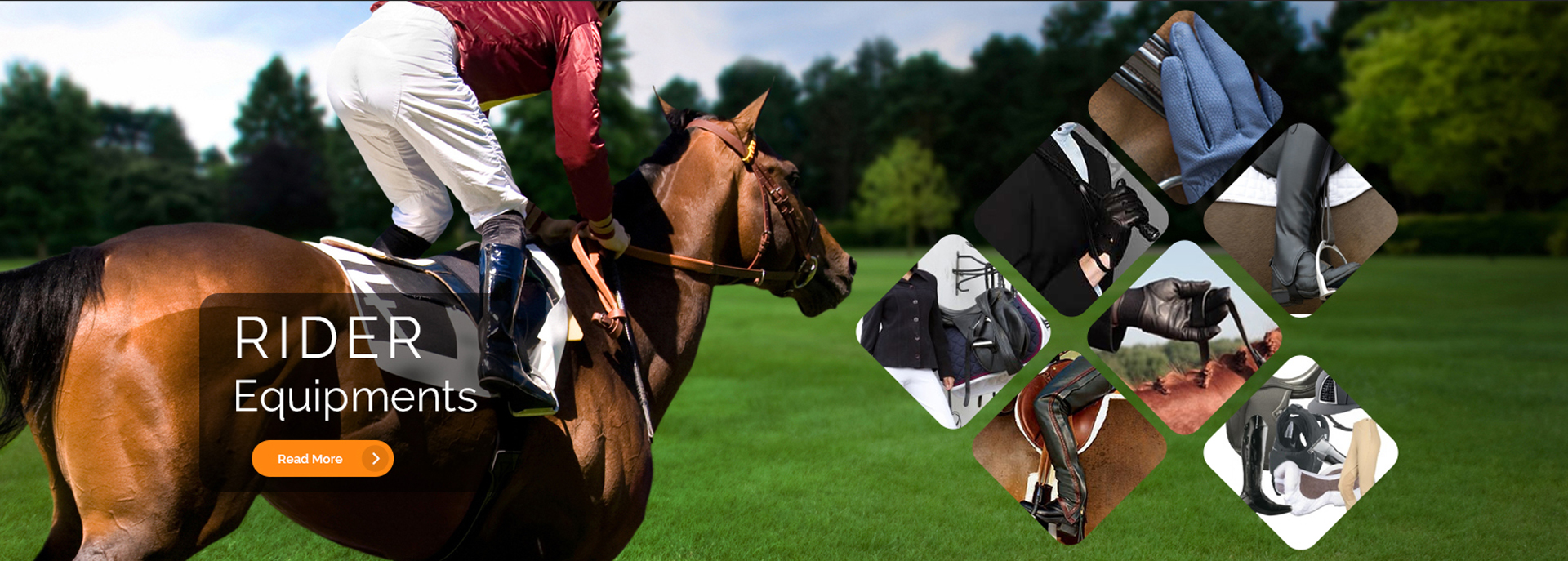 Horse fitted with a stainless steel bit and bridle