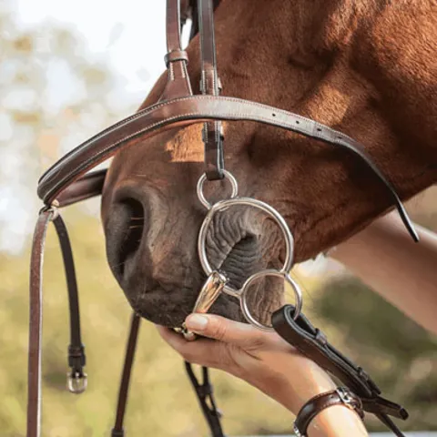 Stainless steel horse bits
